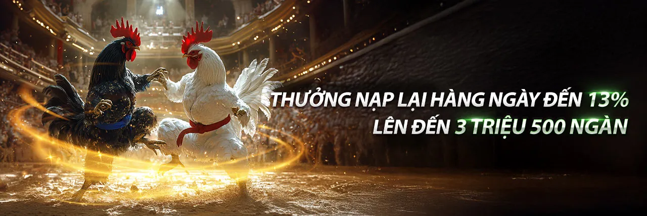 Hình ảnh tiêu đề blog 5mb.bet với các bài viết mới nhất