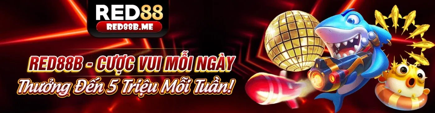 Chính Sách Cookie 5mb.bet – Bảo Mật Dữ Liệu & Trải Nghiệm
